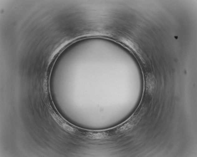 X0000062671460200601040957