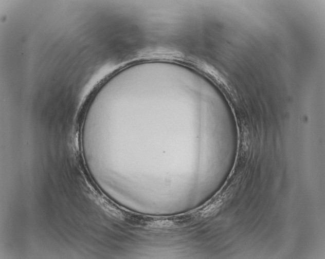 X0000062671462200601040957