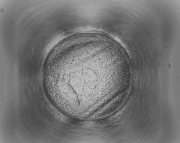 X0000062671463200601040957