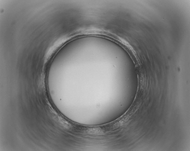 X0000062671464200601040957