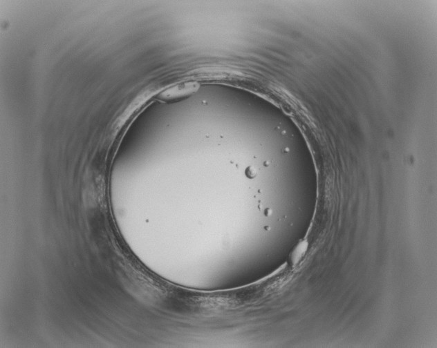 X0000062671465200601040957