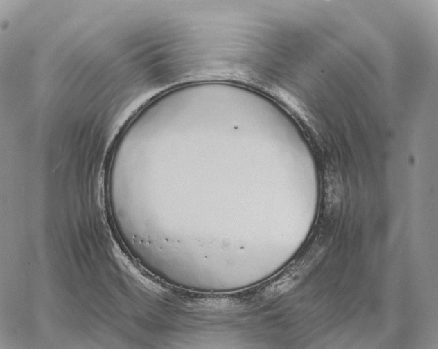 X0000062671468200601040957