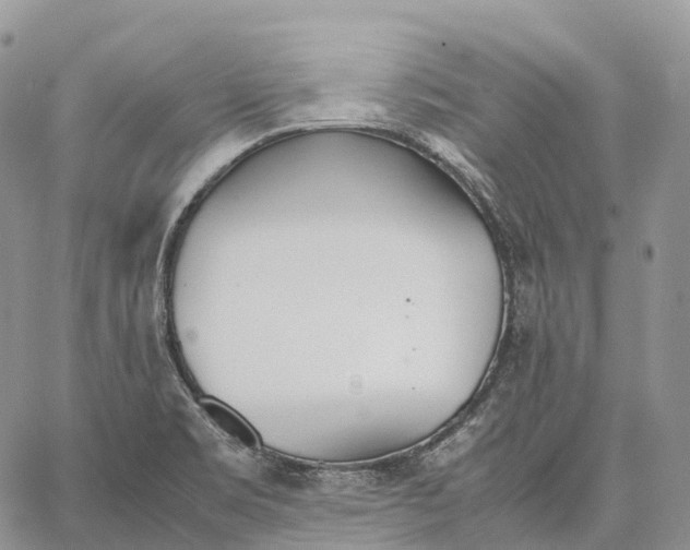 X0000062671469200601040957