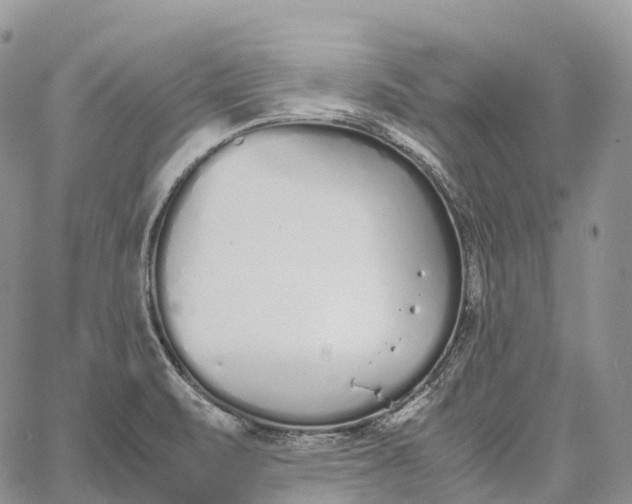 X0000062671471200601040957