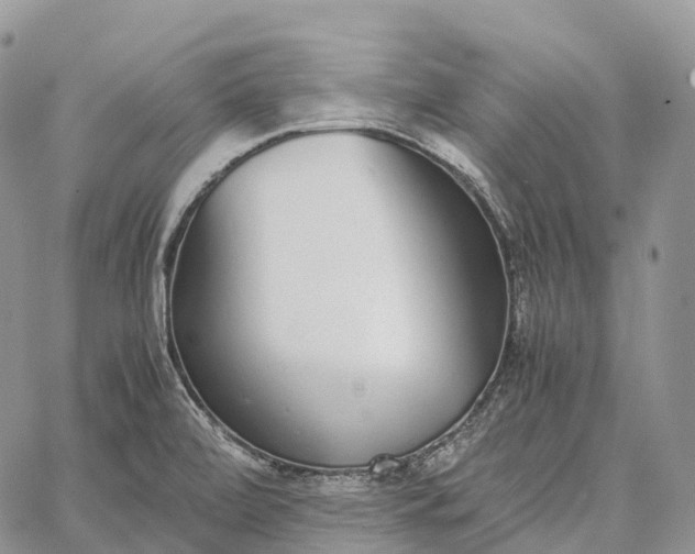 X0000062671472200601040957