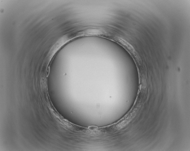 X0000062671473200601040957