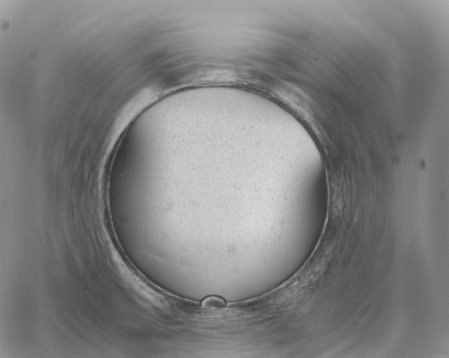 X0000062671475200601040957