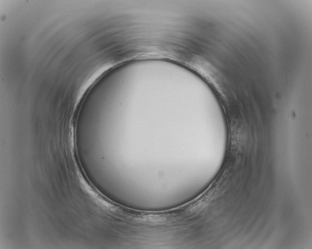 X0000062671476200601040957