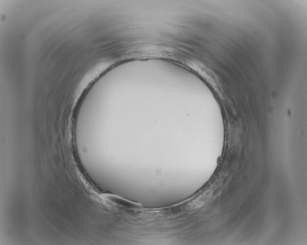 X0000062671477200601040957