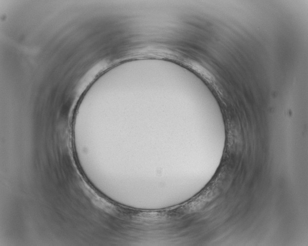 X0000062671478200601040957