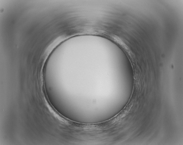 X0000062671479200601040957