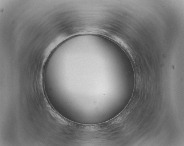 X0000062671480200601040957