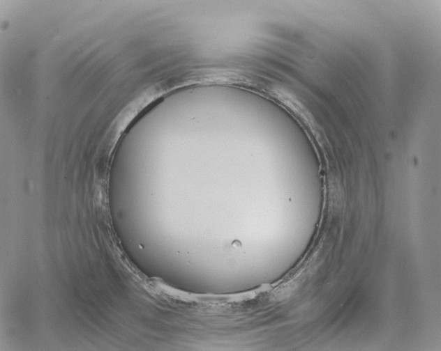 X0000062671481200601040957