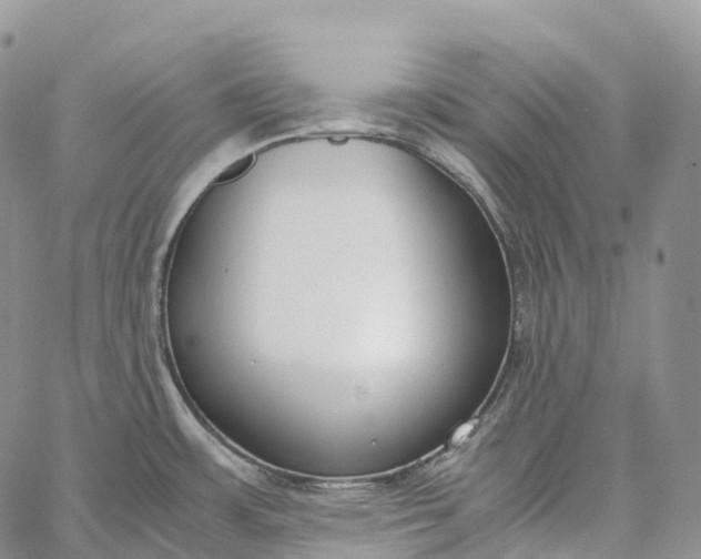 X0000062671483200601040957