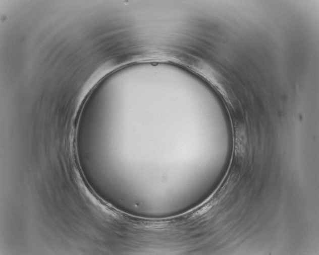 X0000062671484200601040957