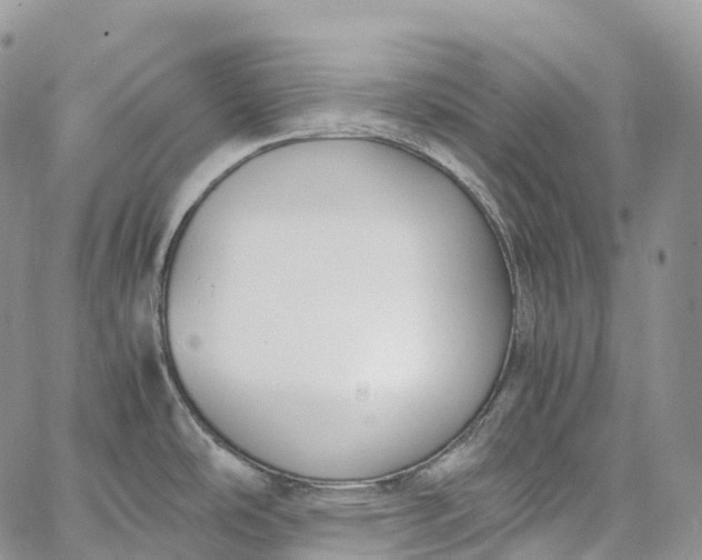 X0000062671486200601040957