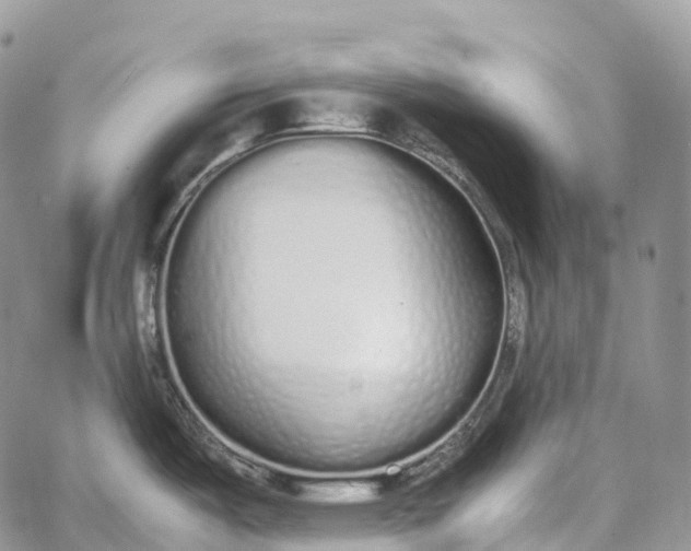 X0000062671487200601040957