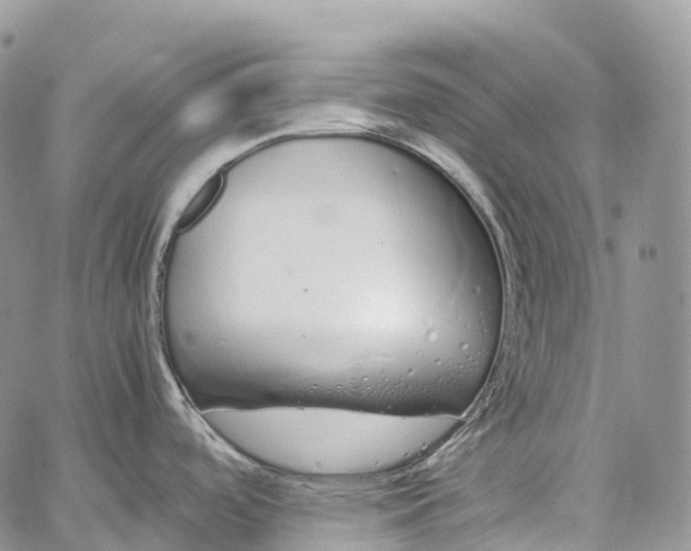 X0000062671488200601040957