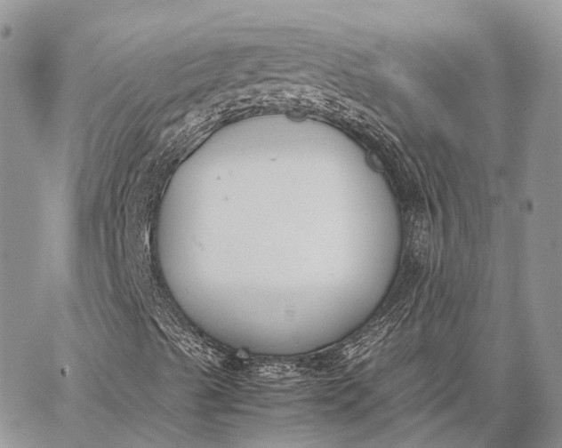 X0000062671489200601040956