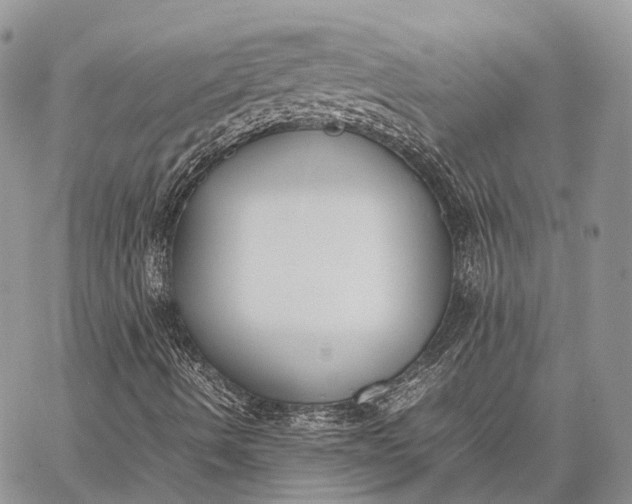 X0000062671490200601040956