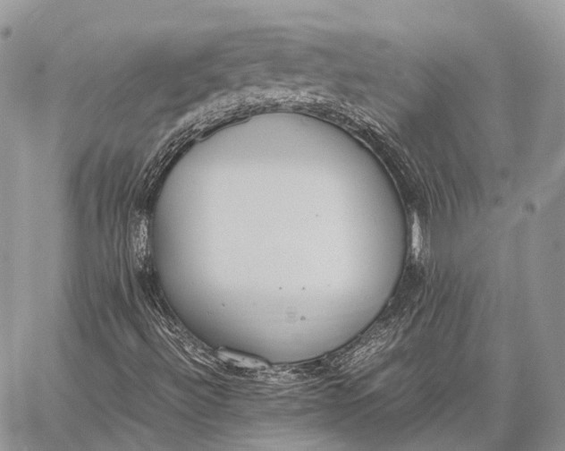 X0000062671492200601040956