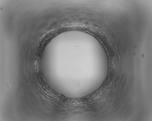 X0000062671493200601040956