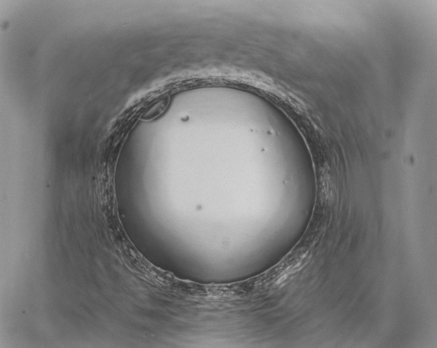 X0000062671494200601040956