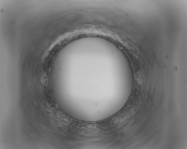 X0000062671495200601040956