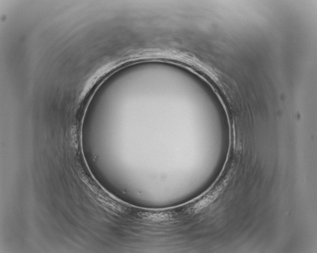 X0000062671501200601040956