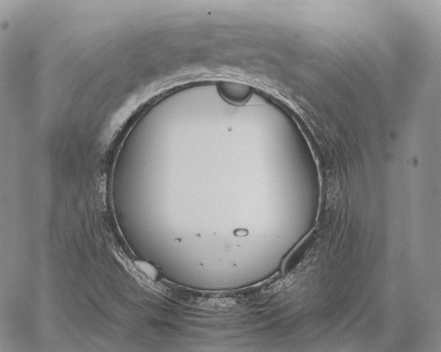 X0000062671503200601040956