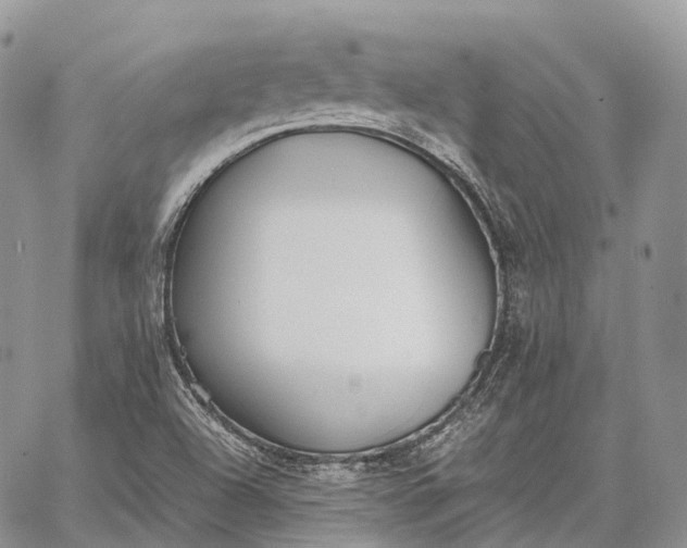 X0000062671504200601040956