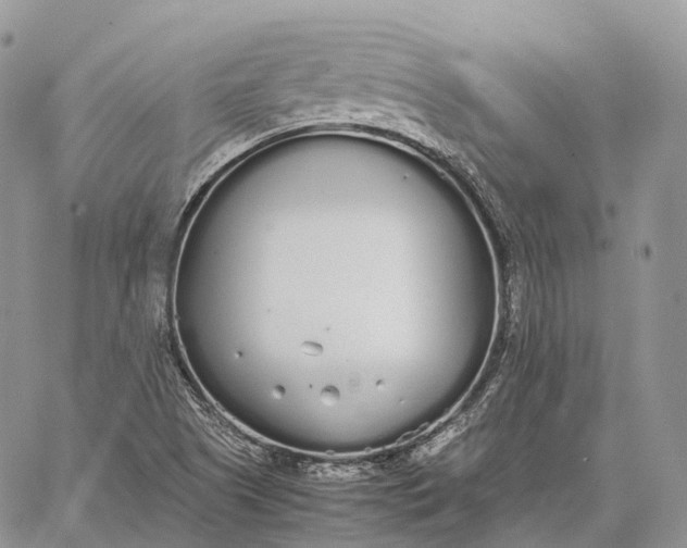 X0000062671505200601040956