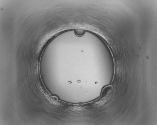 X0000062671507200601040956