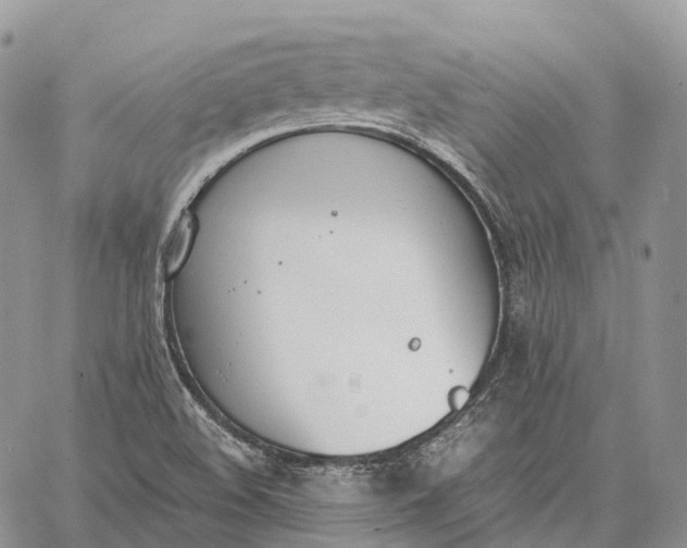 X0000062671508200601040956