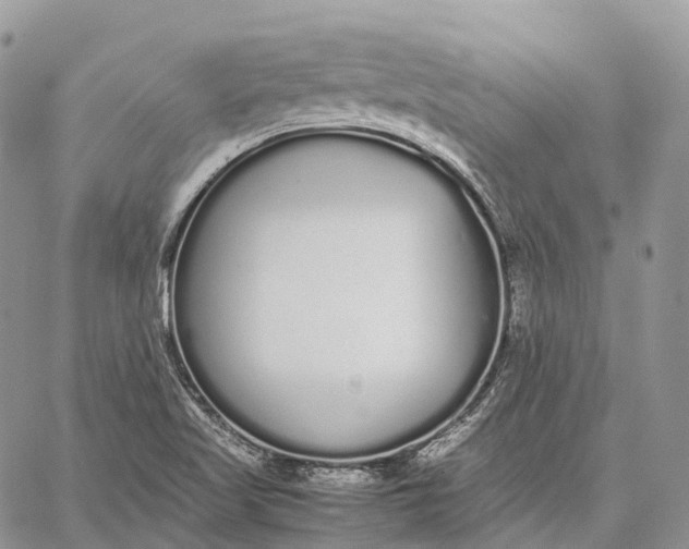 X0000062671509200601040956