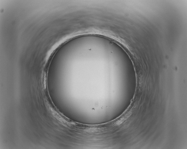 X0000062671510200601040956