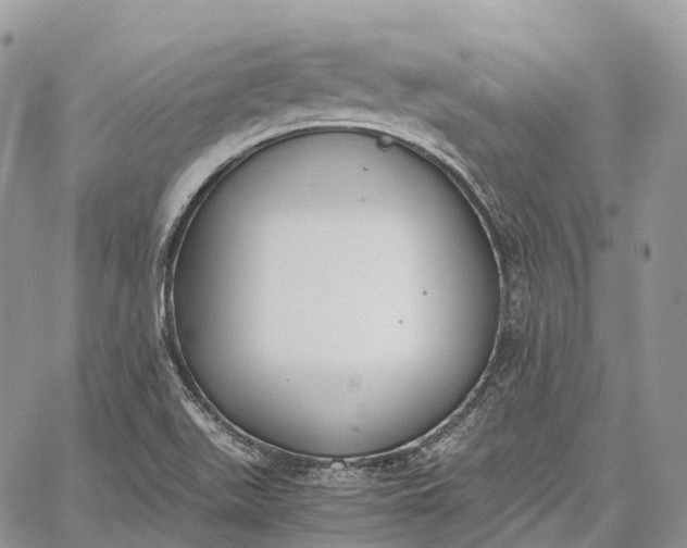 X0000062671511200601040956