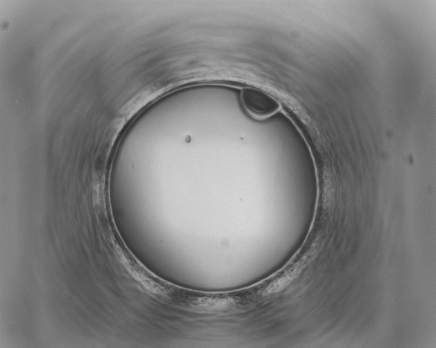 X0000062671513200601040956