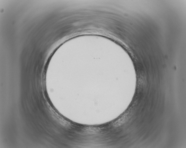 X0000062671514200601040956