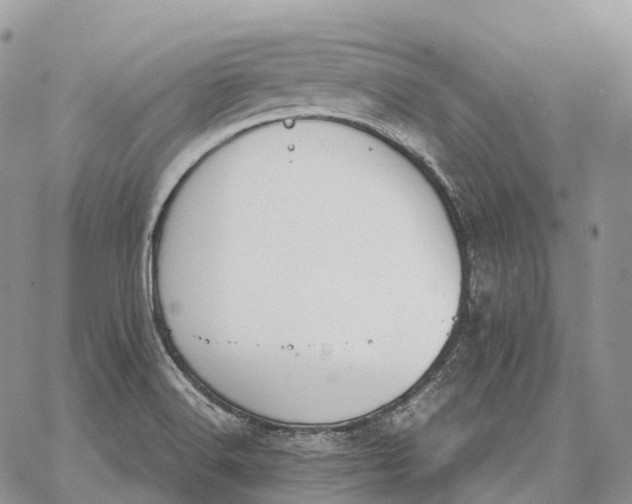 X0000062671516200601040956