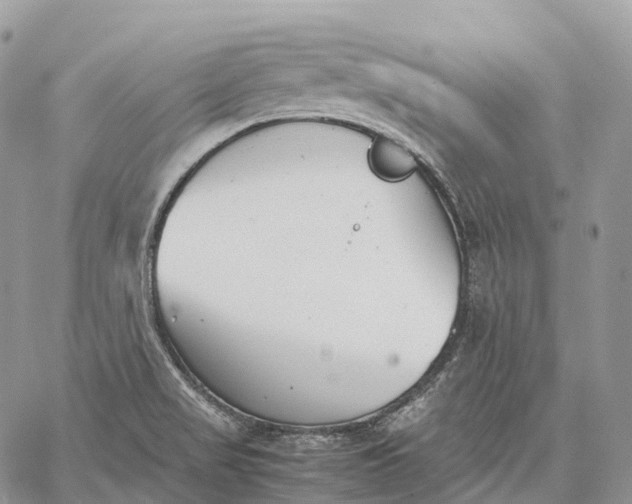 X0000062671517200601040956