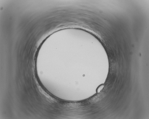 X0000062671518200601040956