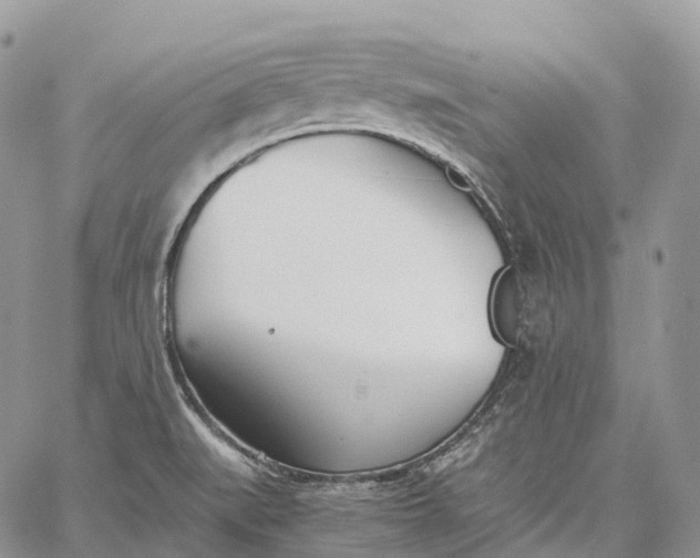 X0000062671519200601040956