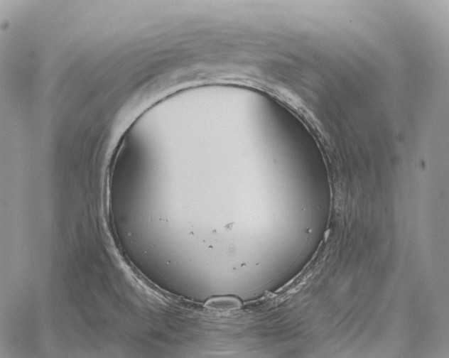 X0000062671520200601040956