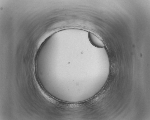 X0000062671523200601040956