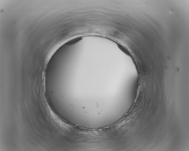 X0000062671524200601040956