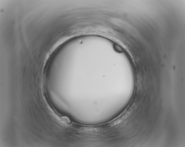 X0000062671525200601040956