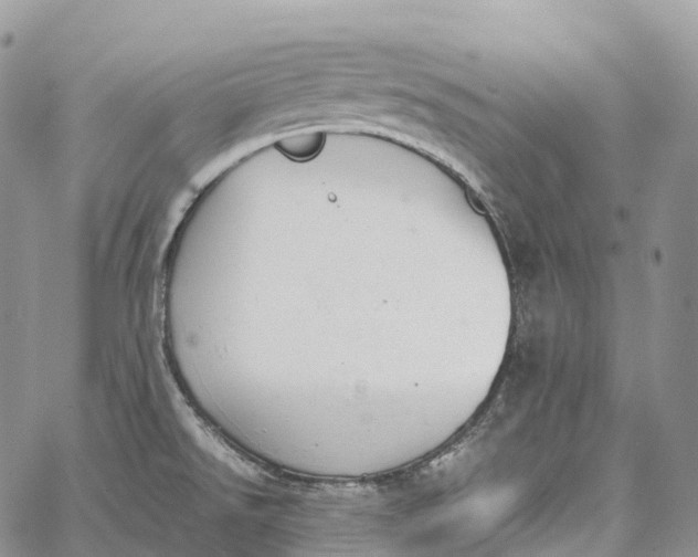 X0000062671526200601040956