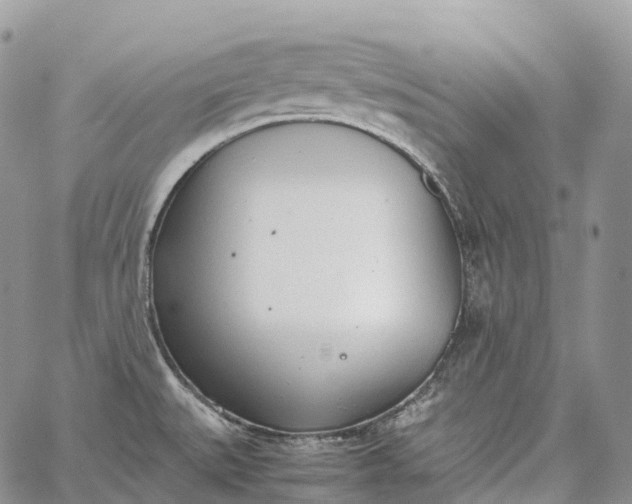 X0000062671527200601040956