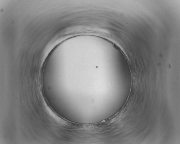 X0000062671531200601040956